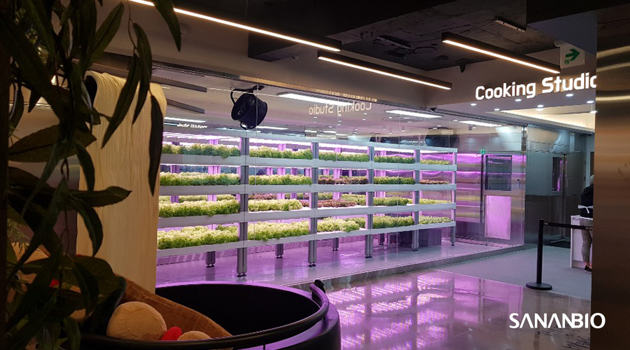 酷！建在韩国地铁站里的“智能植物工厂”